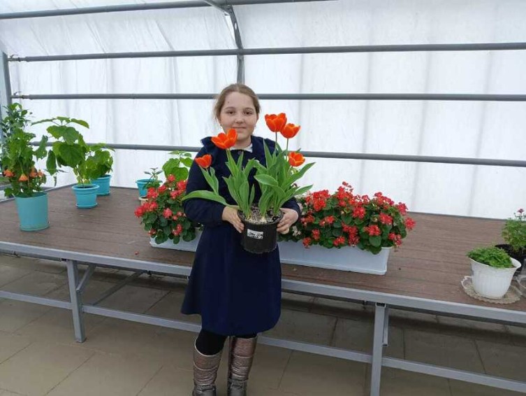 Ботанический эксперимент в 'Университетской' школе завершился Ботанический эксперимент в 'Университетской' школе завершился