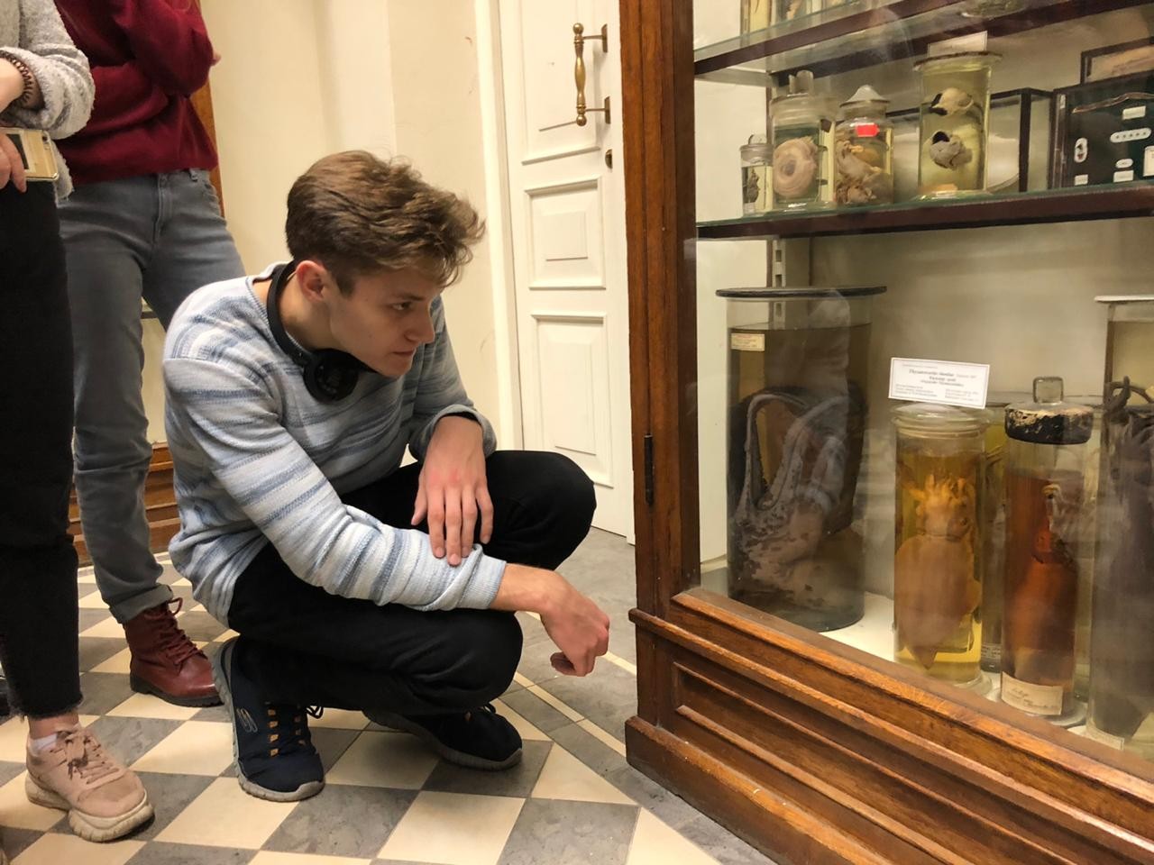 �������� ����������� ���������� ���������� � ��������� �������������