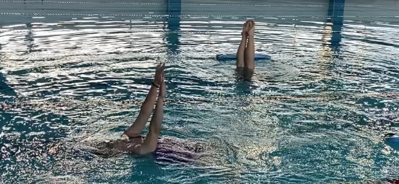 Предновогодний турнир по синхронному плаванию среди студентов третьекурсников ИФМиБ Предновогодний турнир по синхронному плаванию среди студентов третьекурсников ИФМиБ