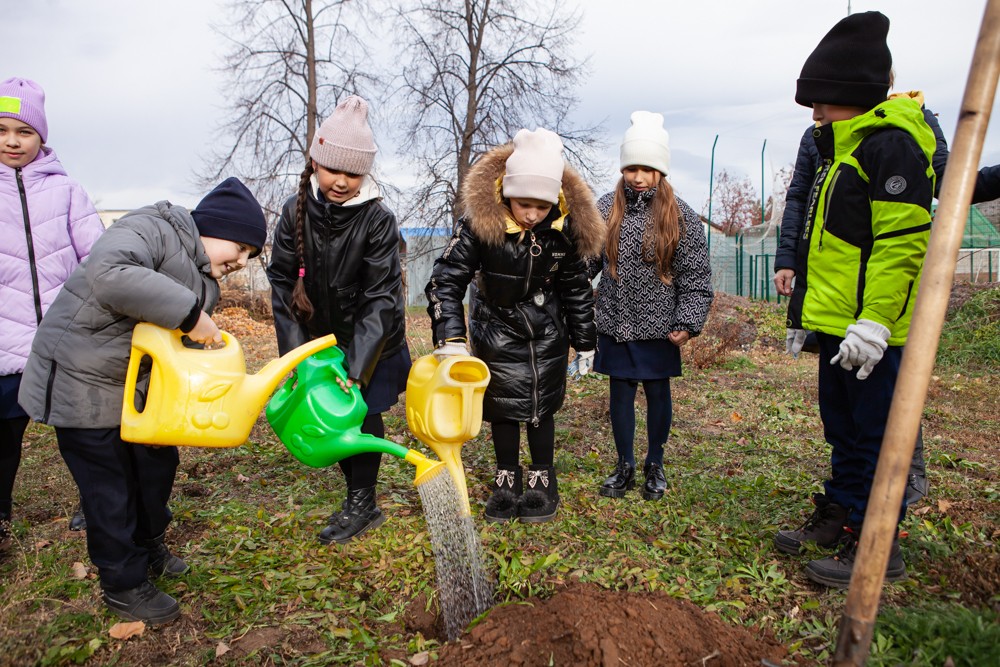 �� ���������� '���������������' ����� �� ��� �������� ������� �������