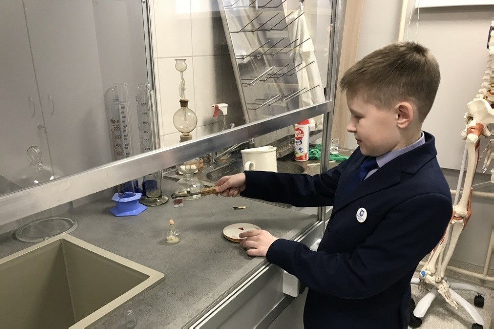 ������ ���� � �����