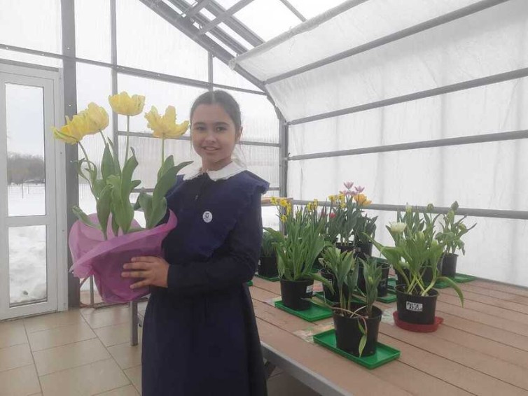 ������������ ����������� � '���������������' ����� ����������