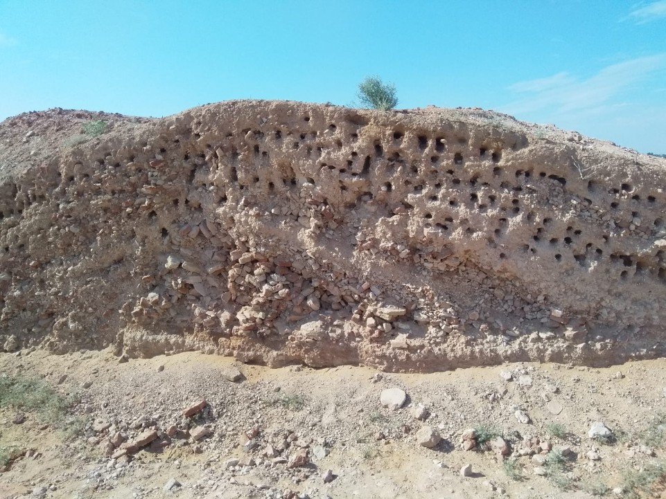 �������� ������� ���� ,������ ��������, �������� ���������, ��������,