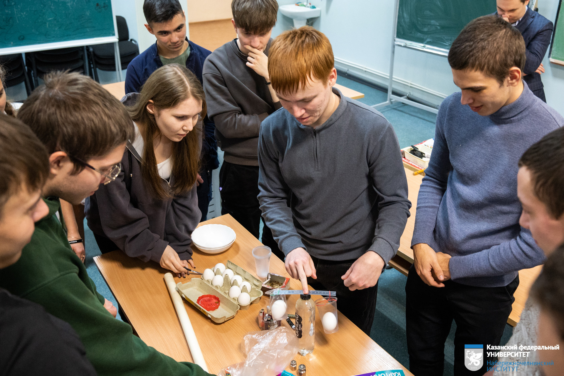 ���� ����� - 2024