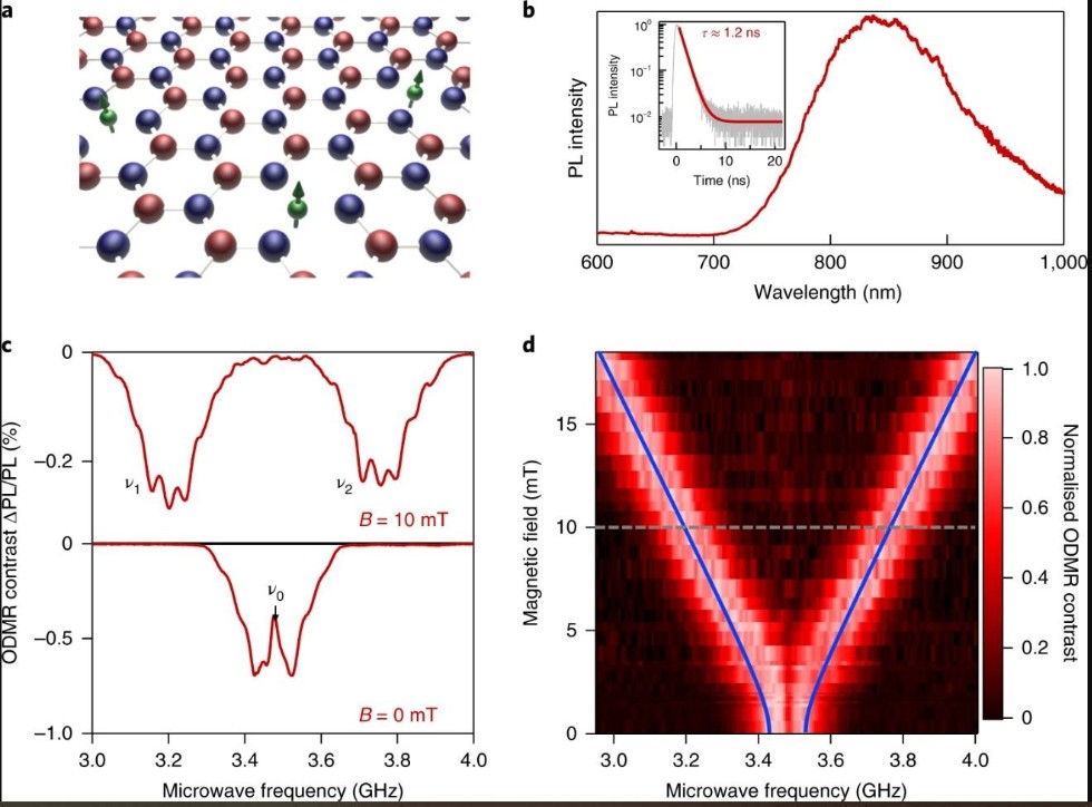 Spin-dependent processes in the 2D material hexagonal boron nitride ,spin, quantum, boron nitride