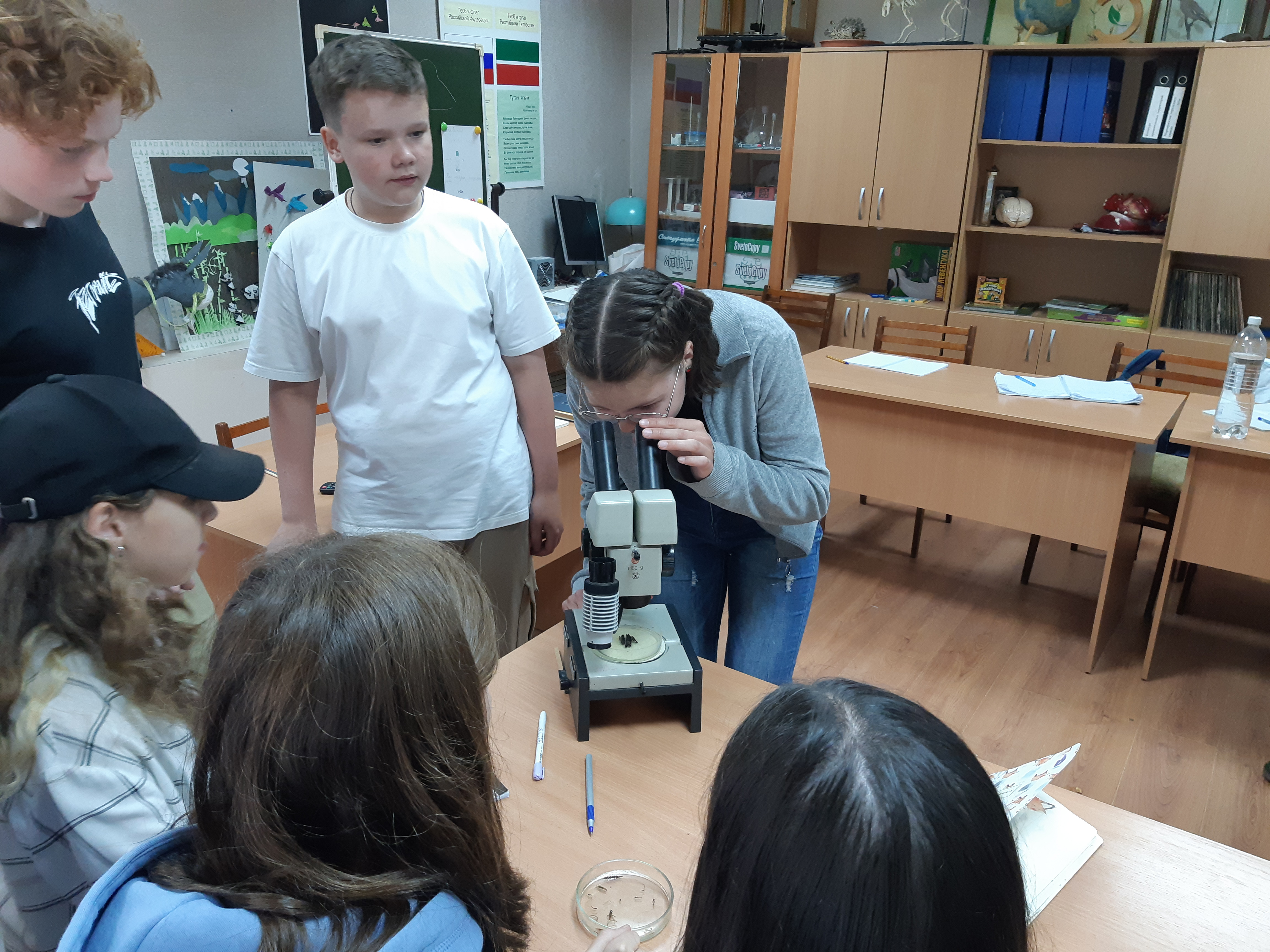 ������� ������������������� � ��������������� ������� ������� � ������ 