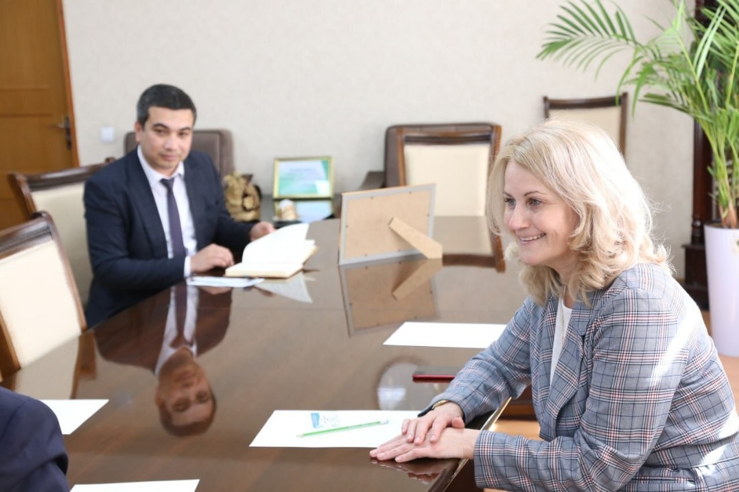 International cooperation