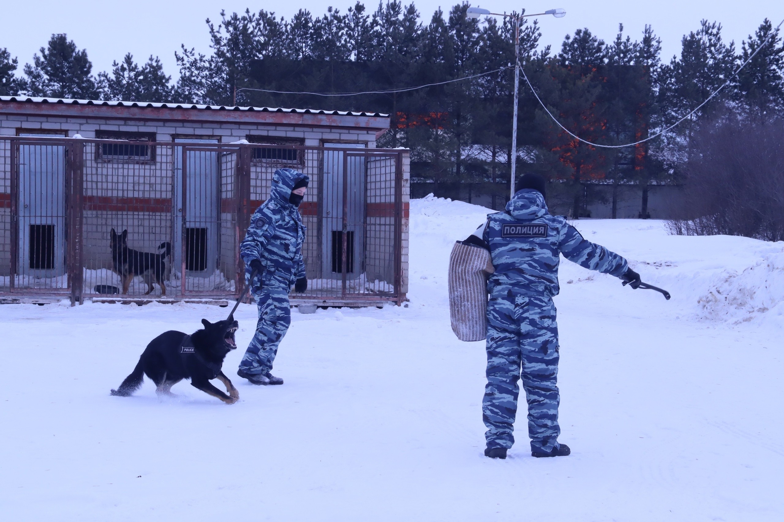 '������������ ������' �� ������� ���������