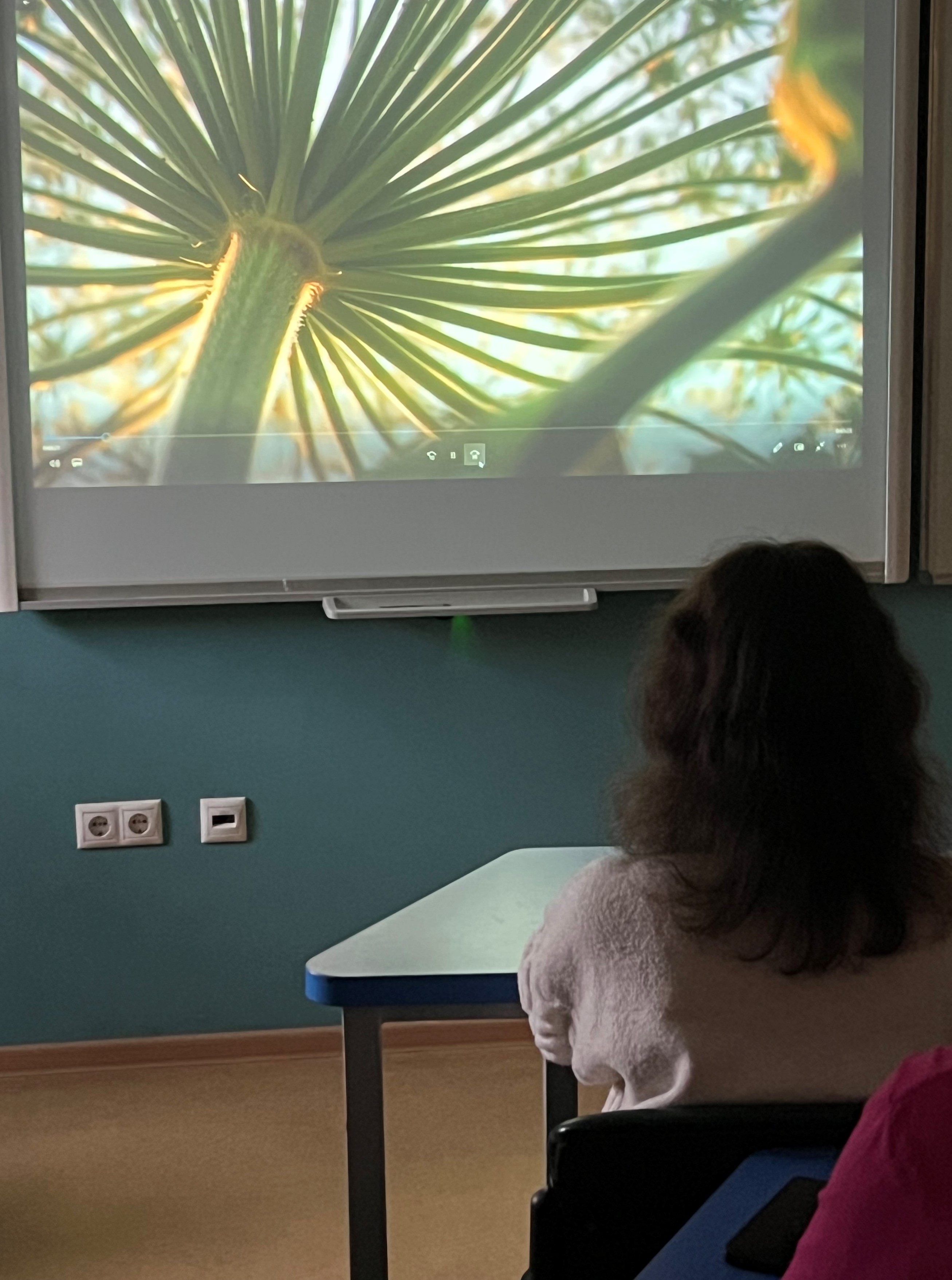 ��� �������� ���� ���� � ��������� ���������� � ����������� ������������