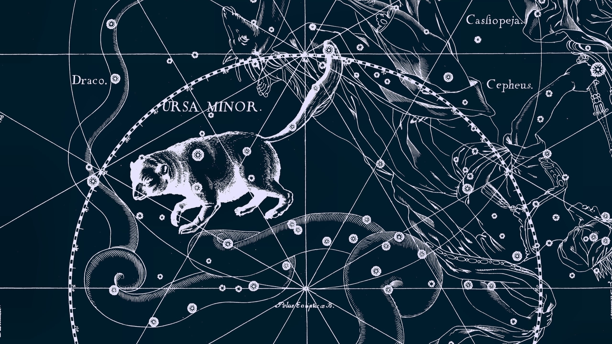 ��� ����� ����������� '����� ��������' � ����� ������� ����, ��������� �������� ��� ,�������� ������, ���� ������� �������������, &laquo;����� ��������&raquo;