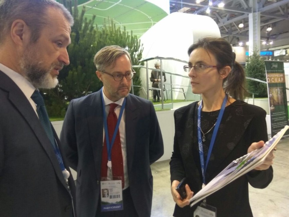 ��� - �������� II-�� ������������� �������� - ������ '������' 17' � V �������������� ������ �� ������ ���������� �����.