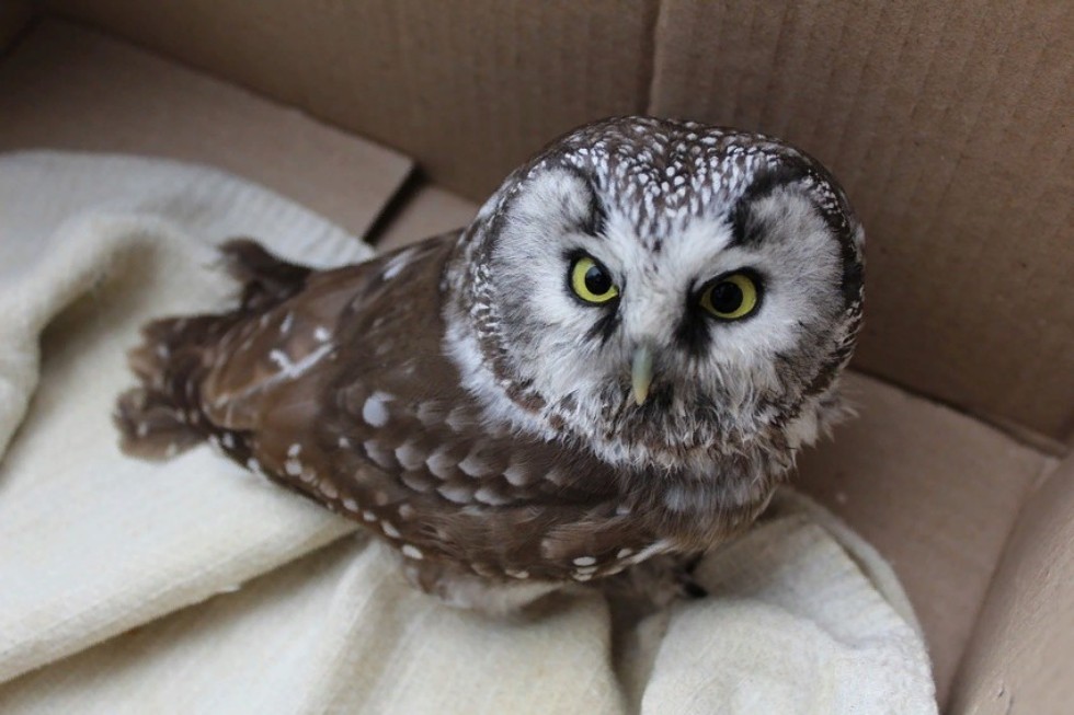 �������� ������