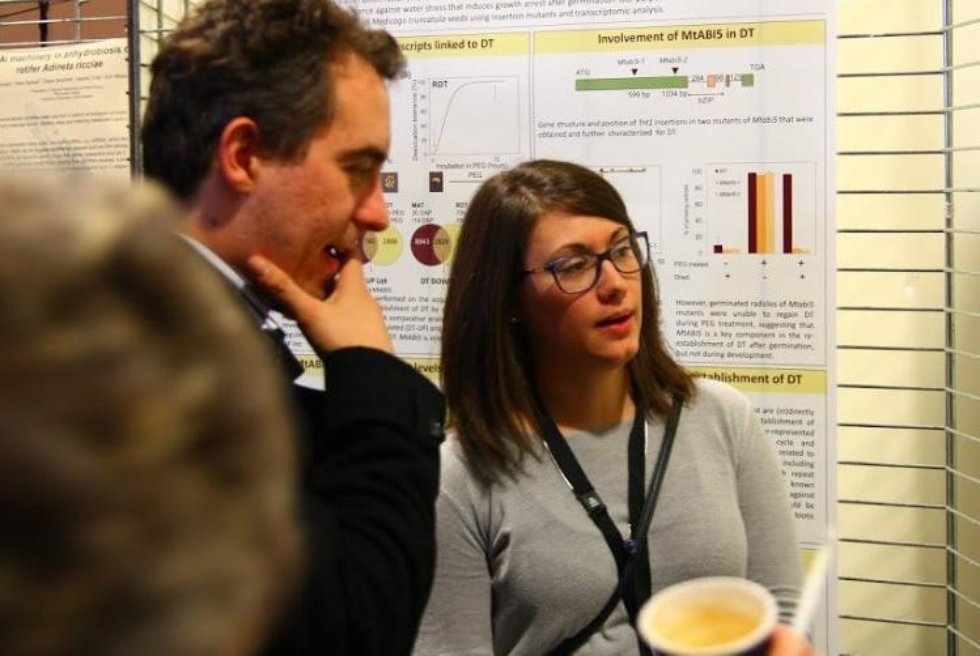 ����� ����������� ��� '������������� ����� � ���������' ������� �� ������������� �������