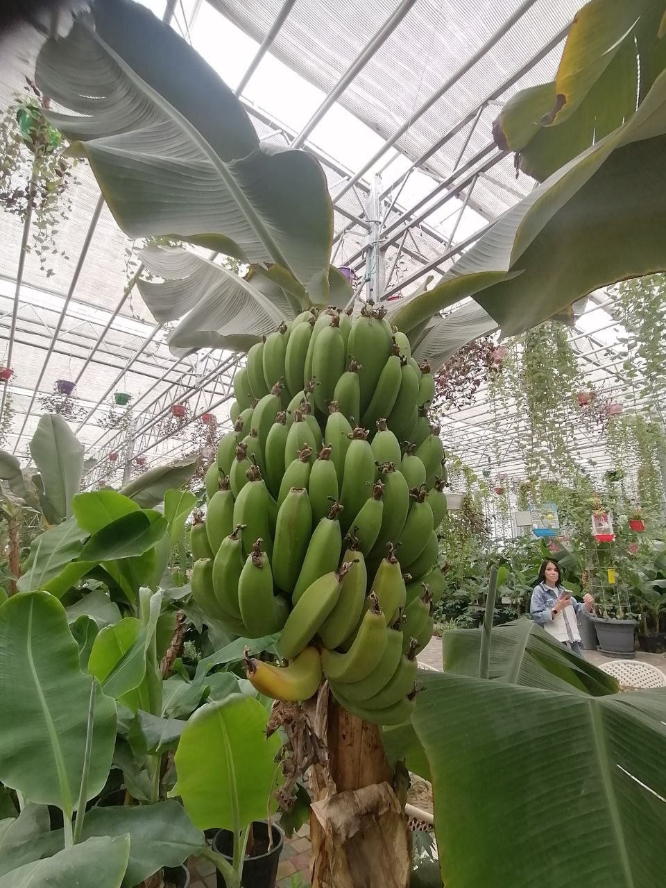 ������ ������� ��������� � ����������� ����� ���������� ���������� � ������� ������� � ��������� ��������������� ������������