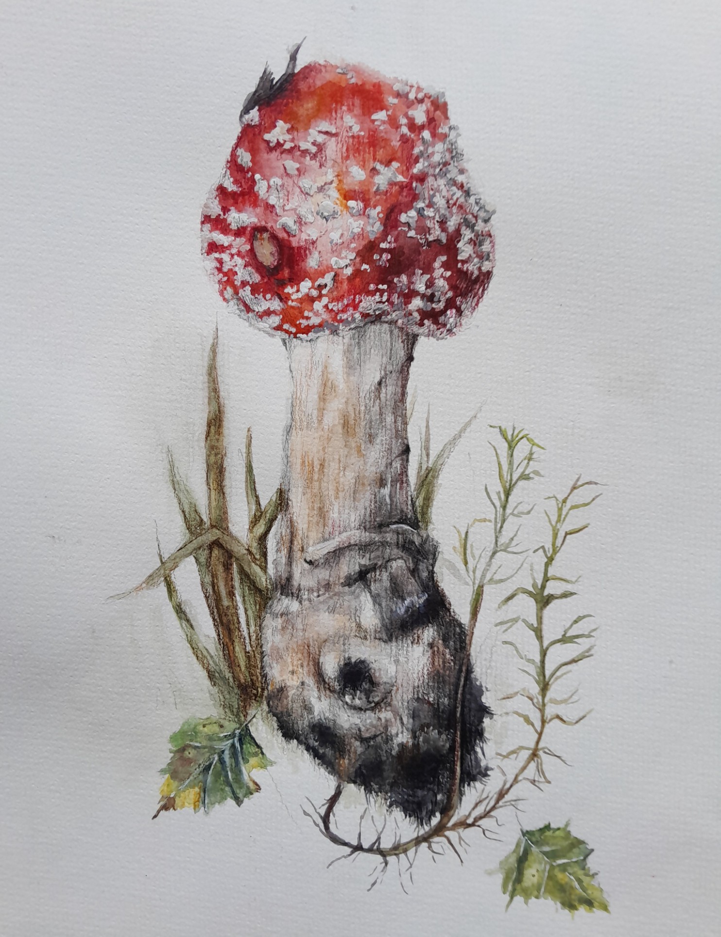 ����� 1-�� ����������� ���� V-�� ���������������� �������� �������� ������� � ����� ������������ �������� '�������'