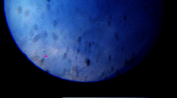 СТРУКТУРА И ПЕРСПЕКТИВЫ РАЗВИТИЯ АСТРОНОМИЧЕСКОЙ ОБСЕРВАТОРИИ им. В.П.ЭНГЕЛЬГАРДТА. СТРУКТУРА И ПЕРСПЕКТИВЫ РАЗВИТИЯ АСТРОНОМИЧЕСКОЙ ОБСЕРВАТОРИИ им. В.П.ЭНГЕЛЬГАРДТА.