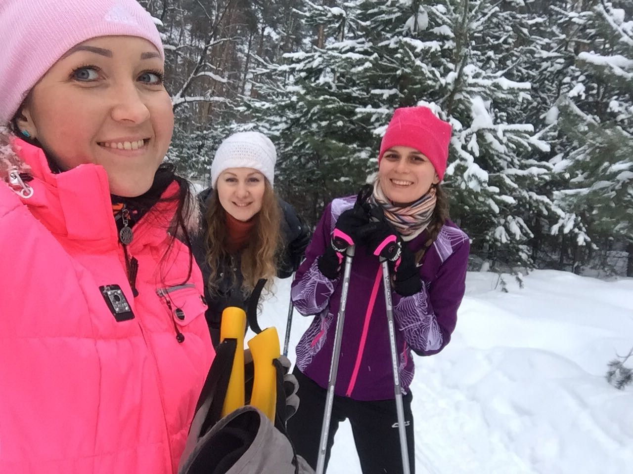 ������� ��������: 