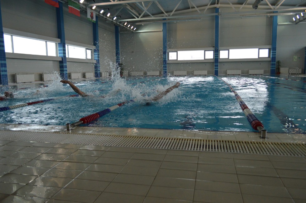 � �������� ���� - �������� ���