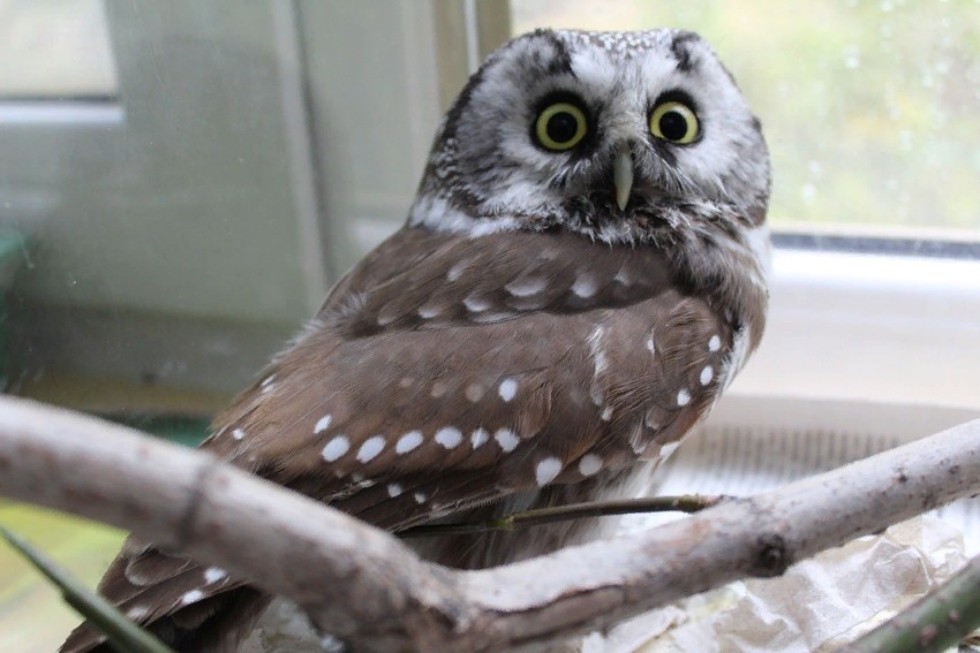 �������� ������