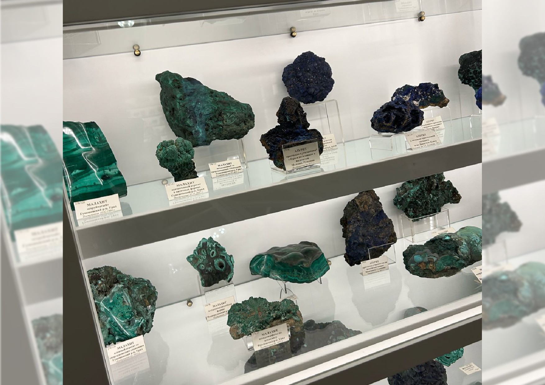 ������ '���������������' ����� ������ ������� � �������� �� �����-�������������� ������� ������������