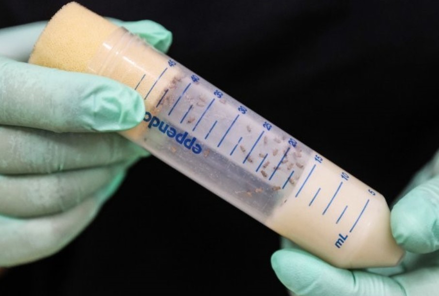 Ученые Институтa математики и механики им. Н.И. Лобачевского ? участники проекта 'Бион-М' № 2 Ученые Институтa математики и механики им. Н.И. Лобачевского ? участники проекта 'Бион-М' № 2