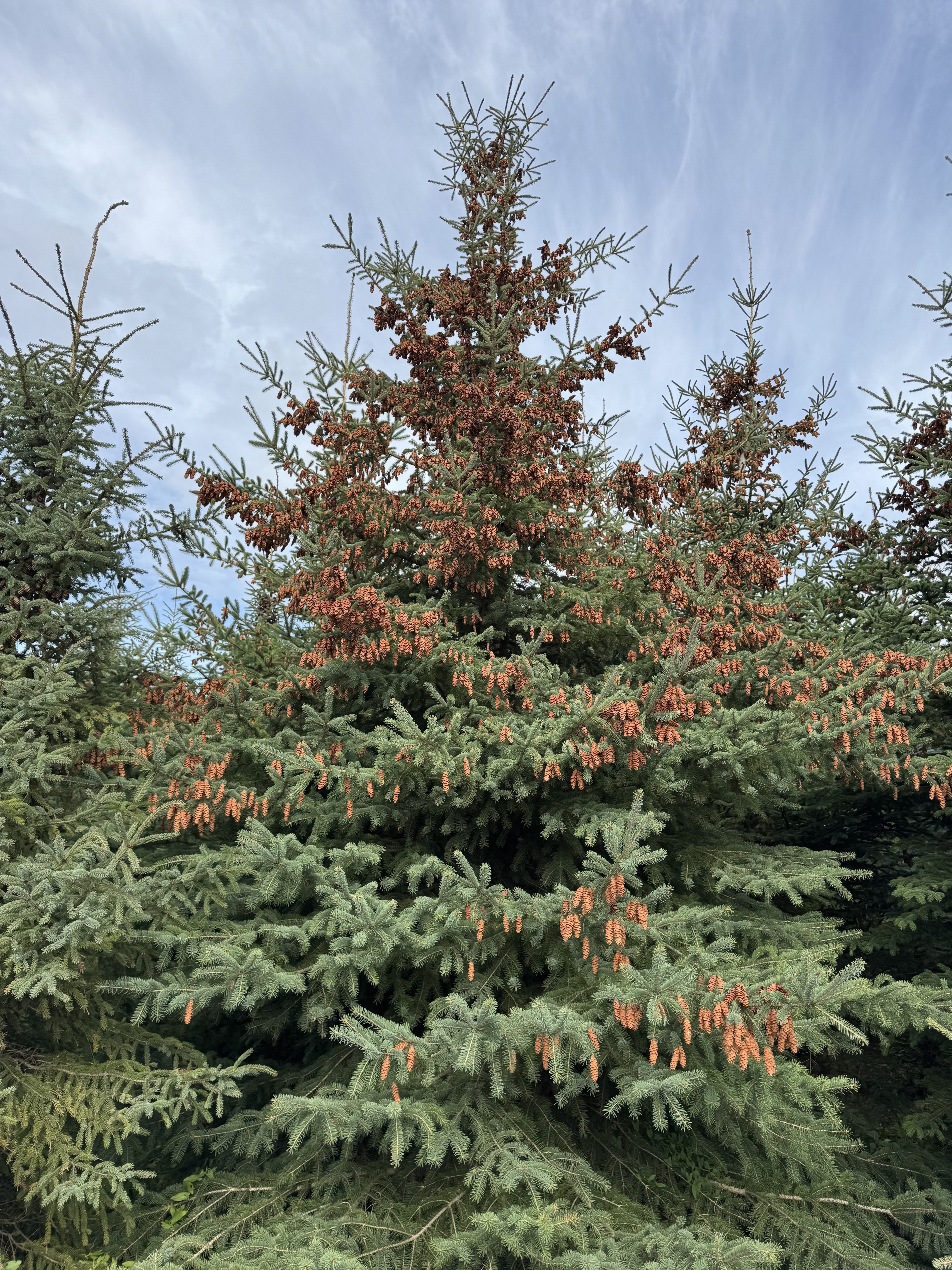 Представители Совета ветеранов КФУ посетили жемчужину Татарстана - Камское Устье Представители Совета ветеранов КФУ посетили жемчужину Татарстана - Камское Устье