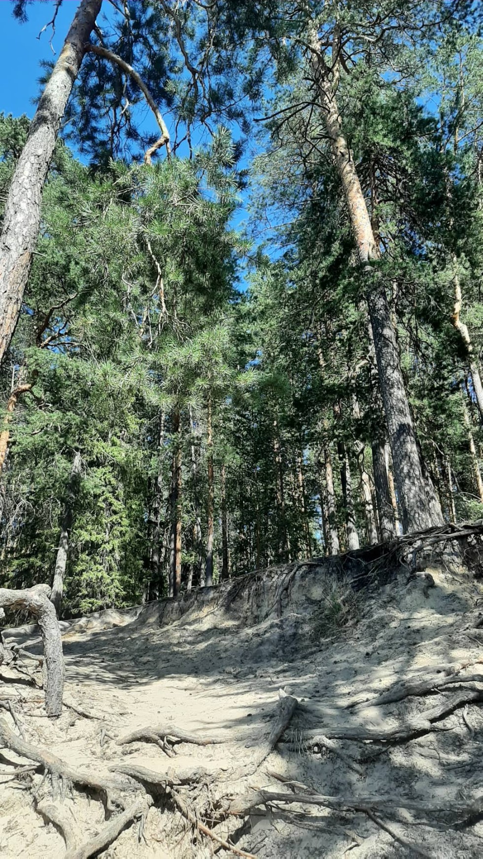 ���� ������ '������'