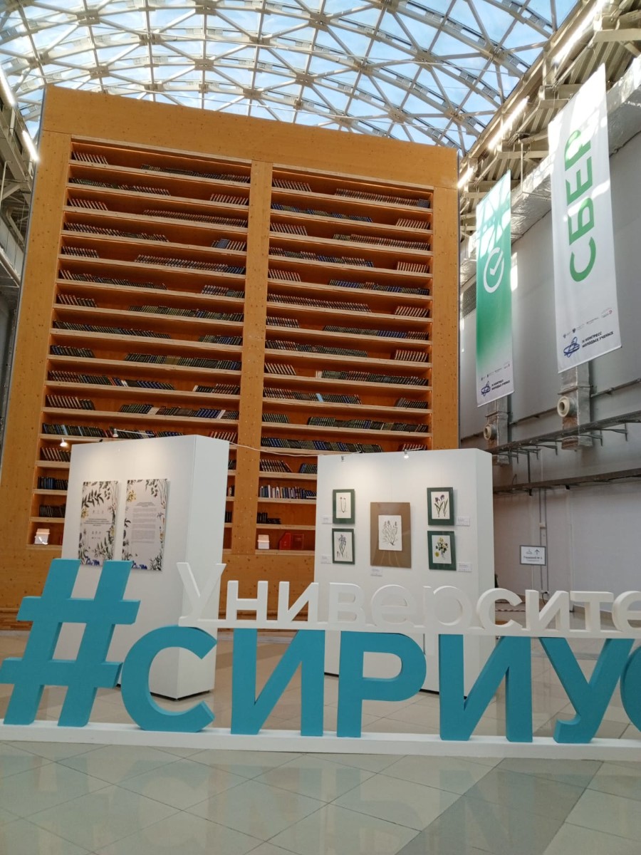 ������� ��������� ������ ? ����� 2024. ������� � IV ��������� ������� ������.