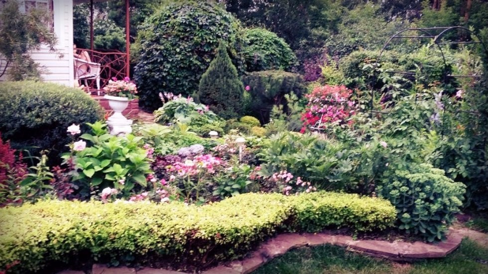 �����������