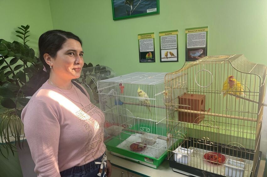 Прошел кураторский час 'Знаем ли мы Елабугу' Прошел кураторский час 'Знаем ли мы Елабугу'