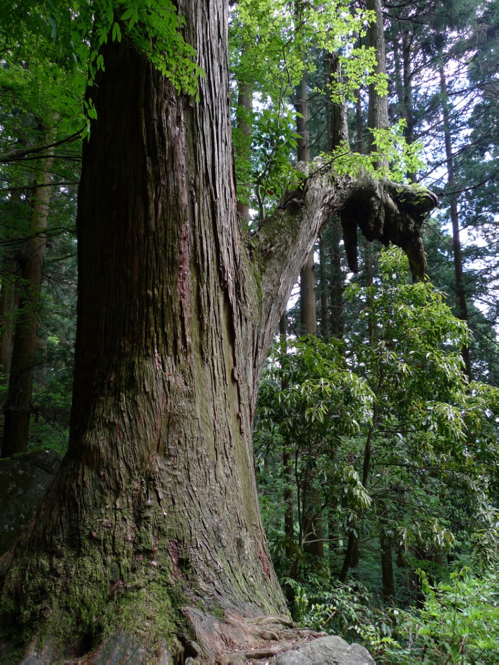 ���������� �.�.�. ��������� �.�. � ��������� ����������������� ����, ������������ ����������������� ����������� ��������� ��������� � ������� ���������, ��������� �������������, �.������, ������