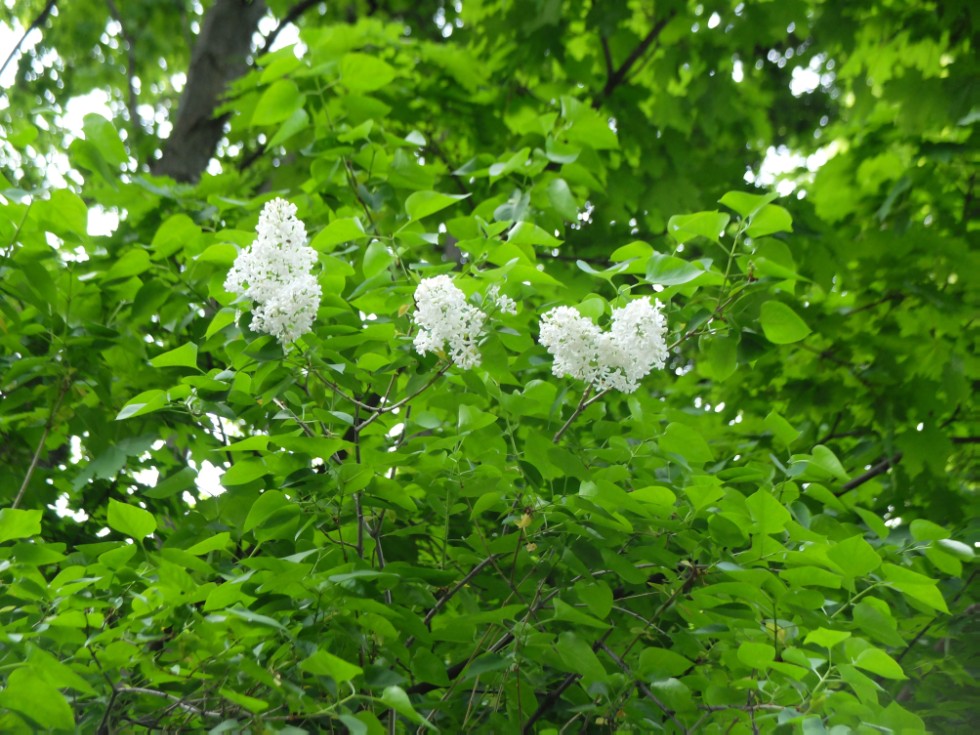 � ��������� ����. �������� ������ ������������.