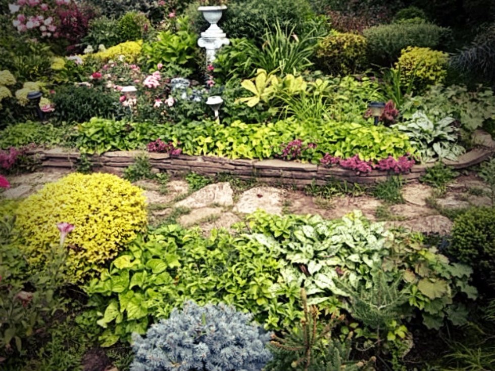 �����������