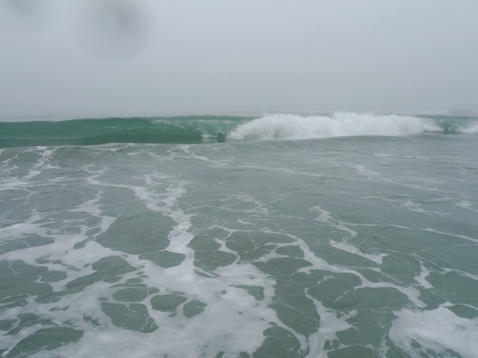 ���������� �.�.�. ��������� �.�. � ��������� ����������������� ����, ������������ ����������������� ����������� ��������� ��������� � ������� ���������, ��������� �������������, �.������, ������