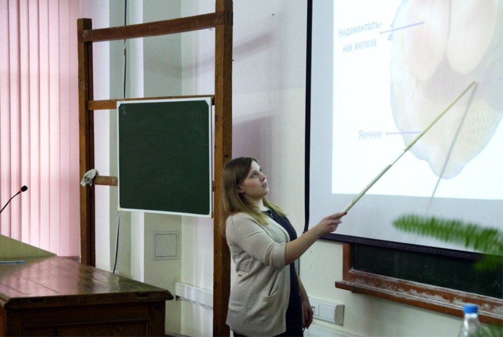 ���� ����� �� ������� �������� � ����� ��������