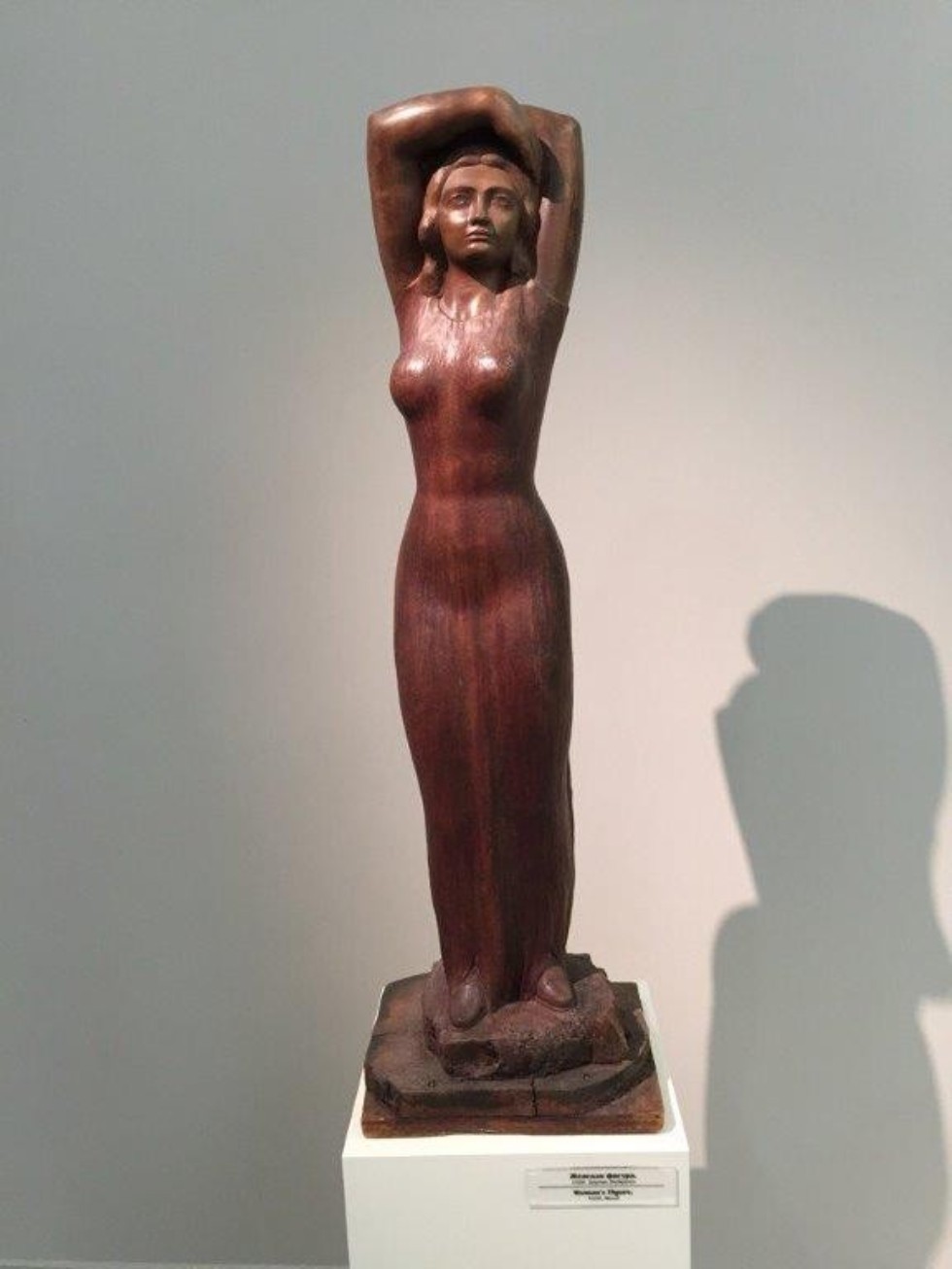 ��������������� �������� � ���� ��. �.�.���������: ����� ������ � ����� �� �������