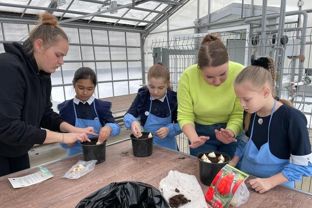 ��������� ������ 