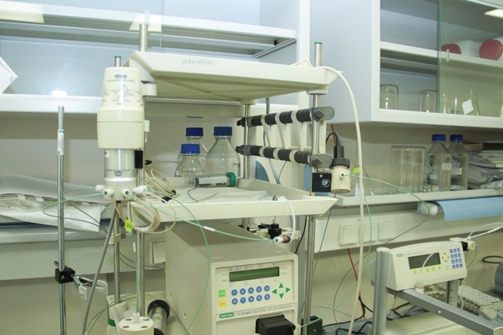 Deputy Minister of Education and Science Yekaterina Tolstikova Visits Kazan University