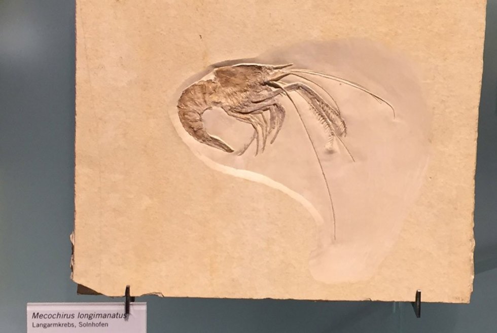 ������� ���������� � ��������� �������� ����������� �������� ����������� ������������