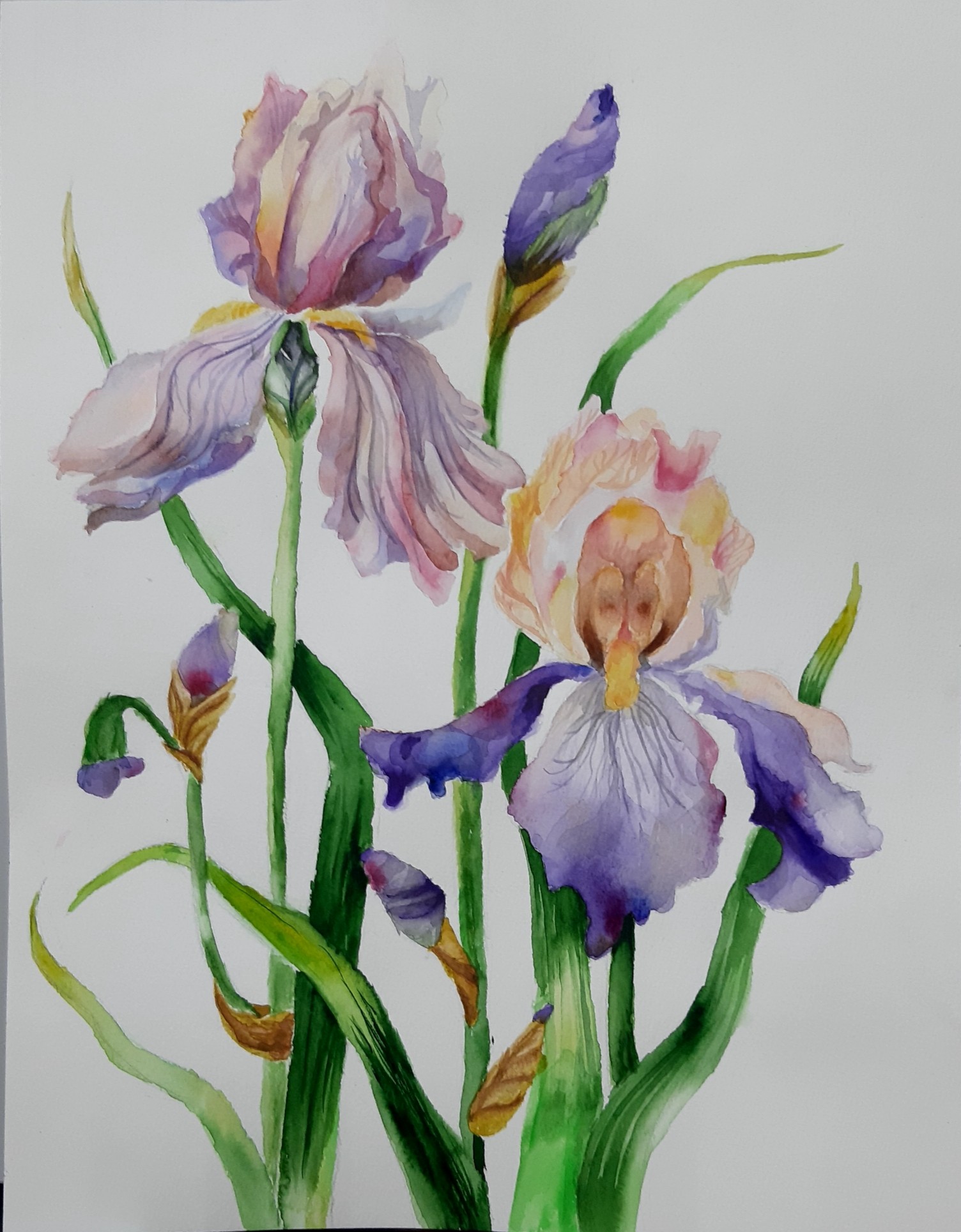 ����� 1-�� ����������� ���� V-�� ���������������� �������� �������� ������� � ����� ������������ �������� '�������'