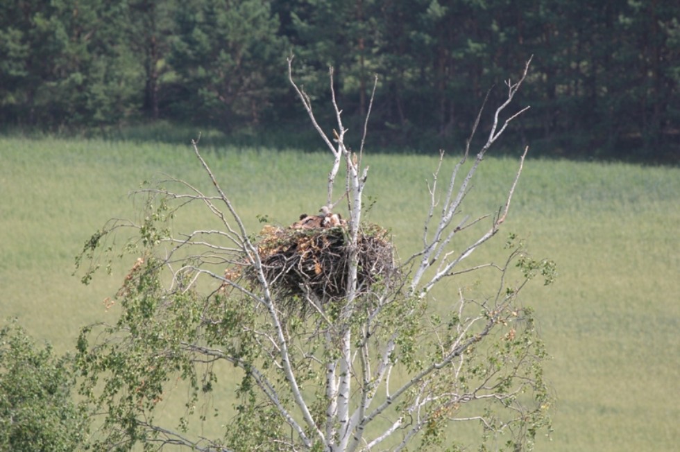 ������ ����������� ��������� ��� �������� ���������� ����������� ������� ���� ���� �� ���������� ����������