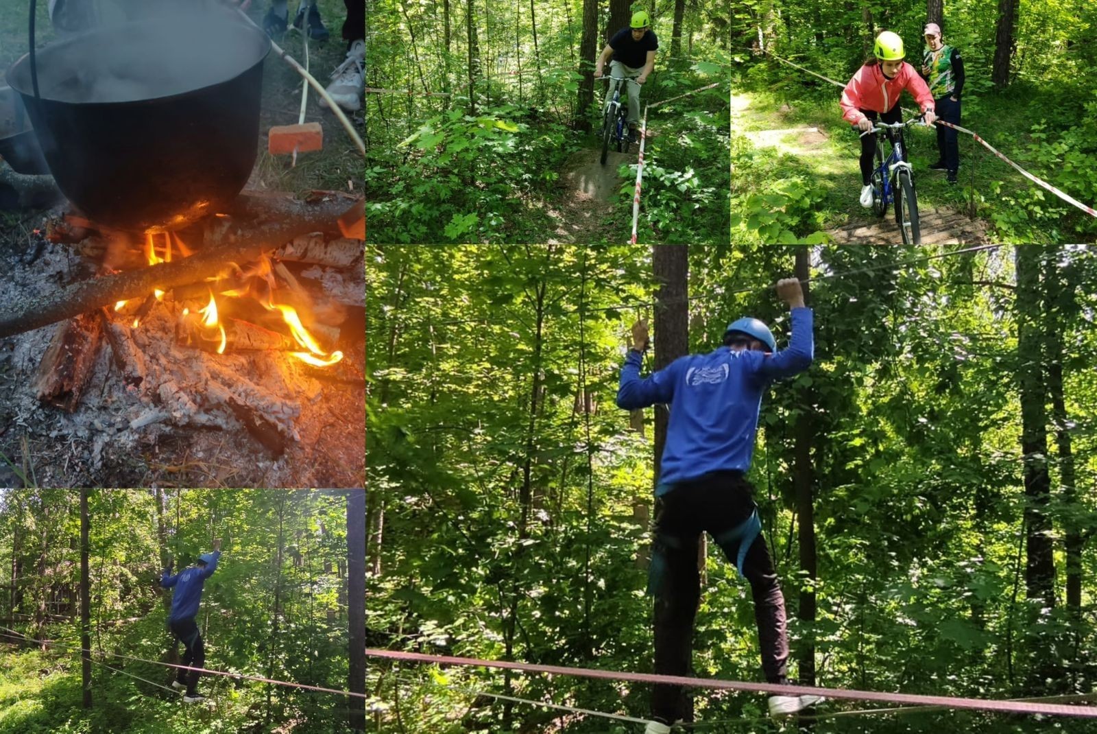 ������������� ��� ���-2025 ,&laquo;����������&raquo;, ������������� ���� &laquo;���������&raquo;, ������������� ���