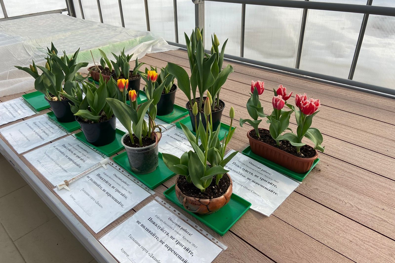 ��������, ���������� ������ ������