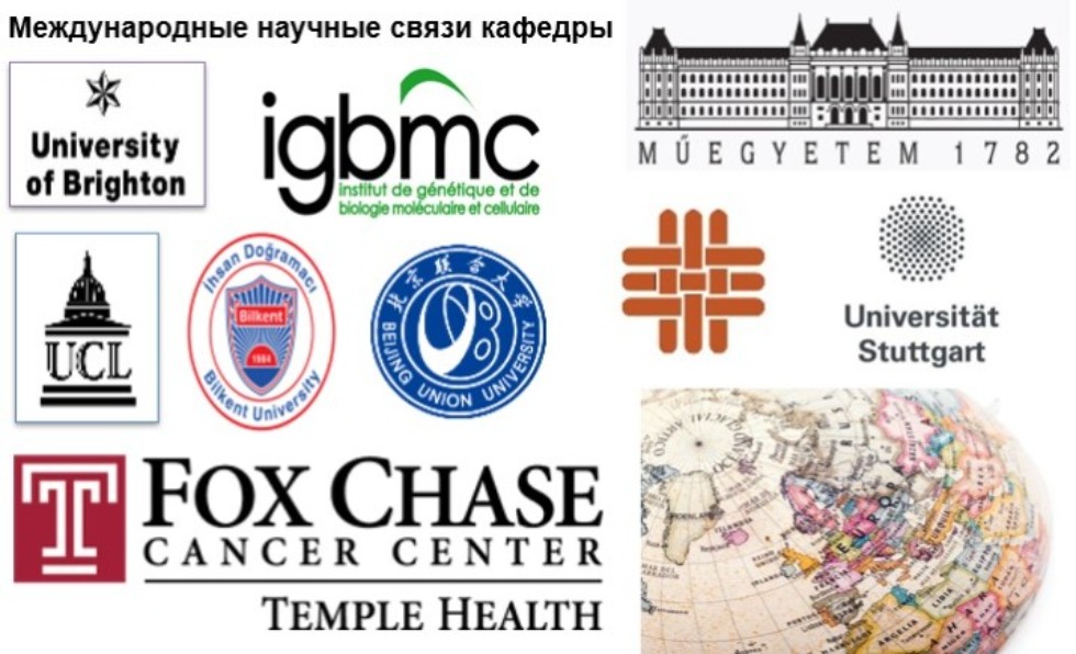 ������������� ��������������