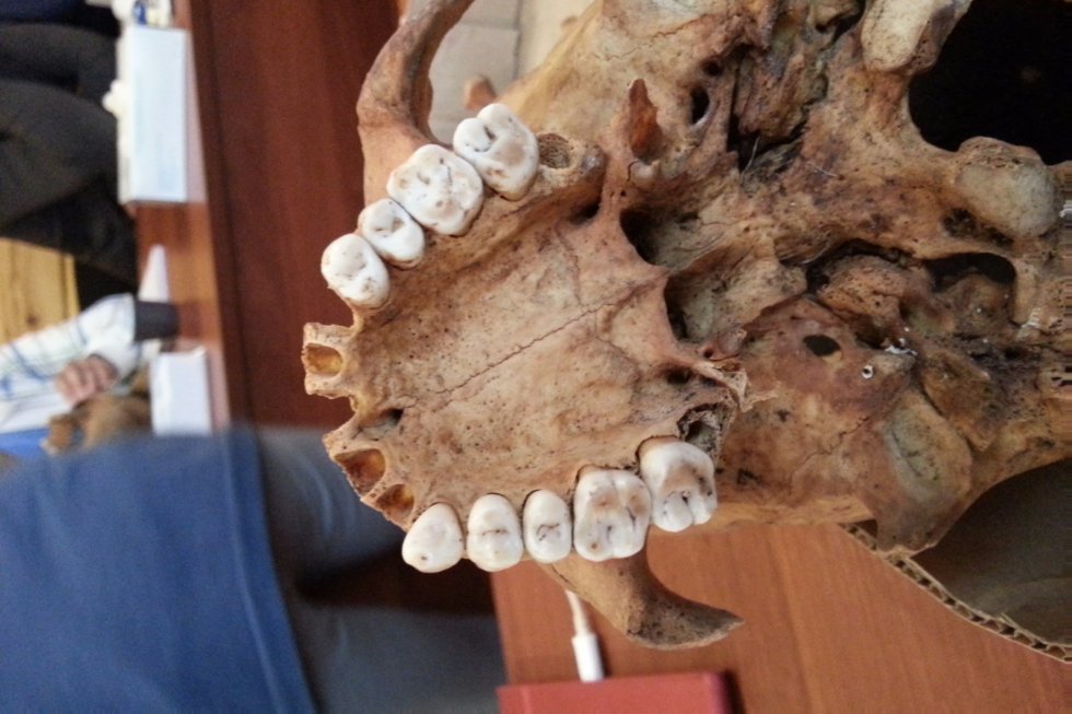 �������