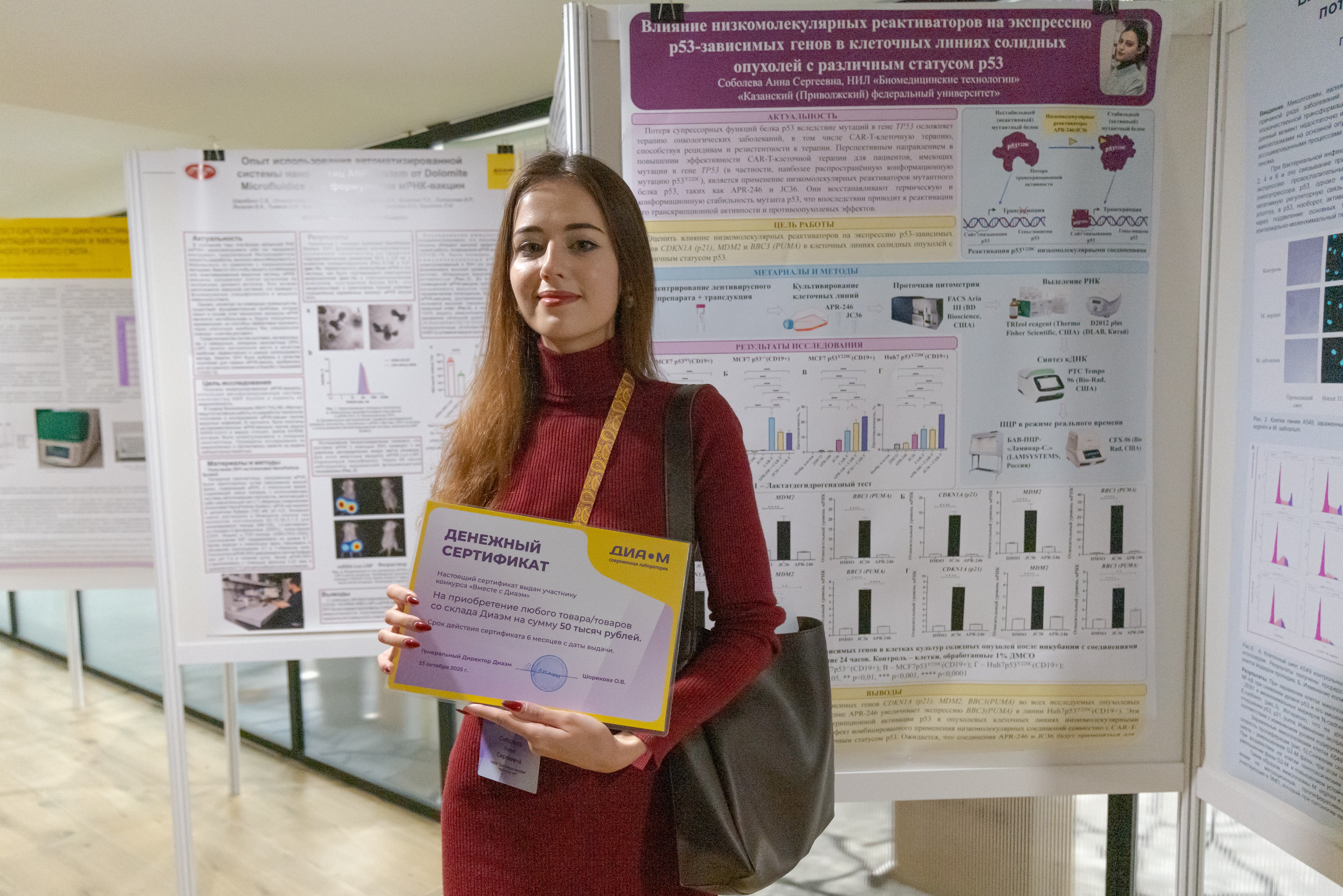     ,          '   ? 2025' ,, , 