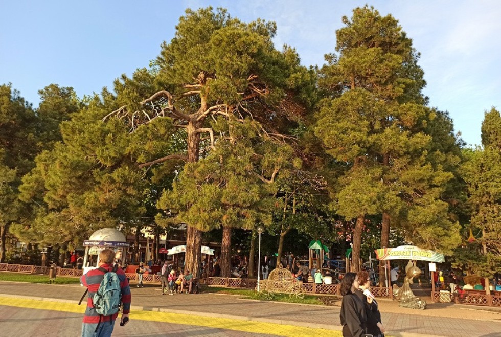 Международная школа-конференция 'Комплексный анализ и его приложения' Международная школа-конференция 'Комплексный анализ и его приложения'