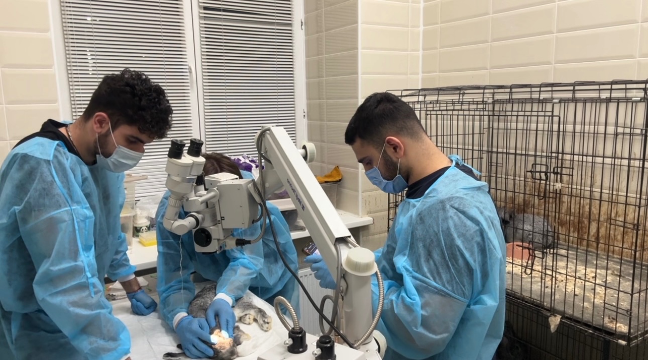 �� ���� WETLAB ����������� ������������ ������������� ������������� ���������� ��� ������� ���������� �� ��������