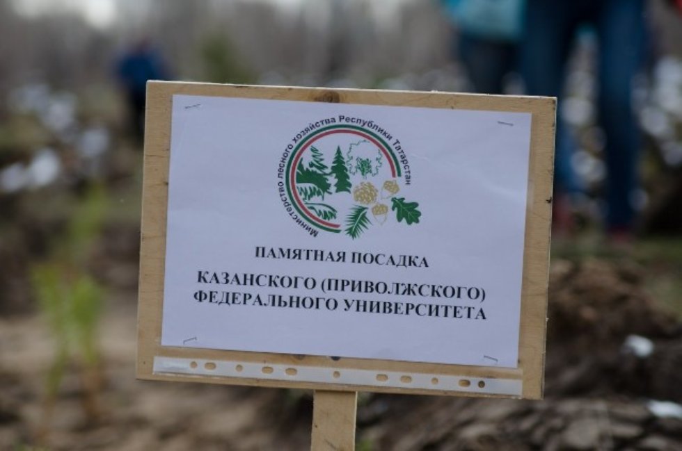 Social Committee of the Law Faculty Social Committee of the Law Faculty