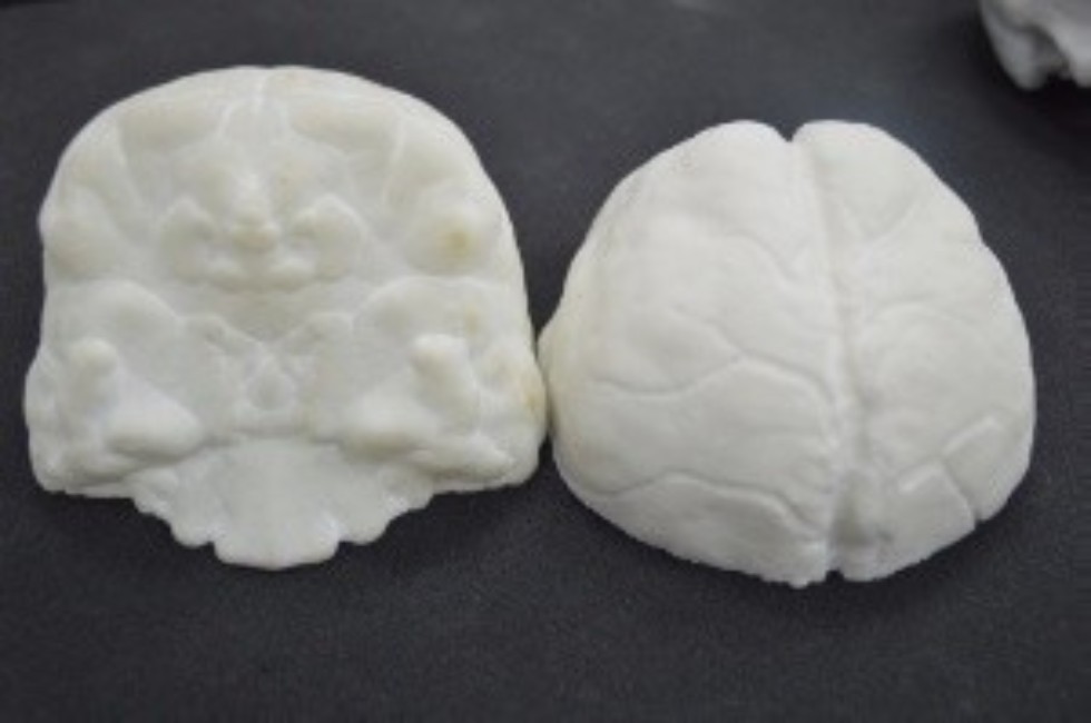 ������������ ,additive manufacturing, 3d print, biomedical engineering